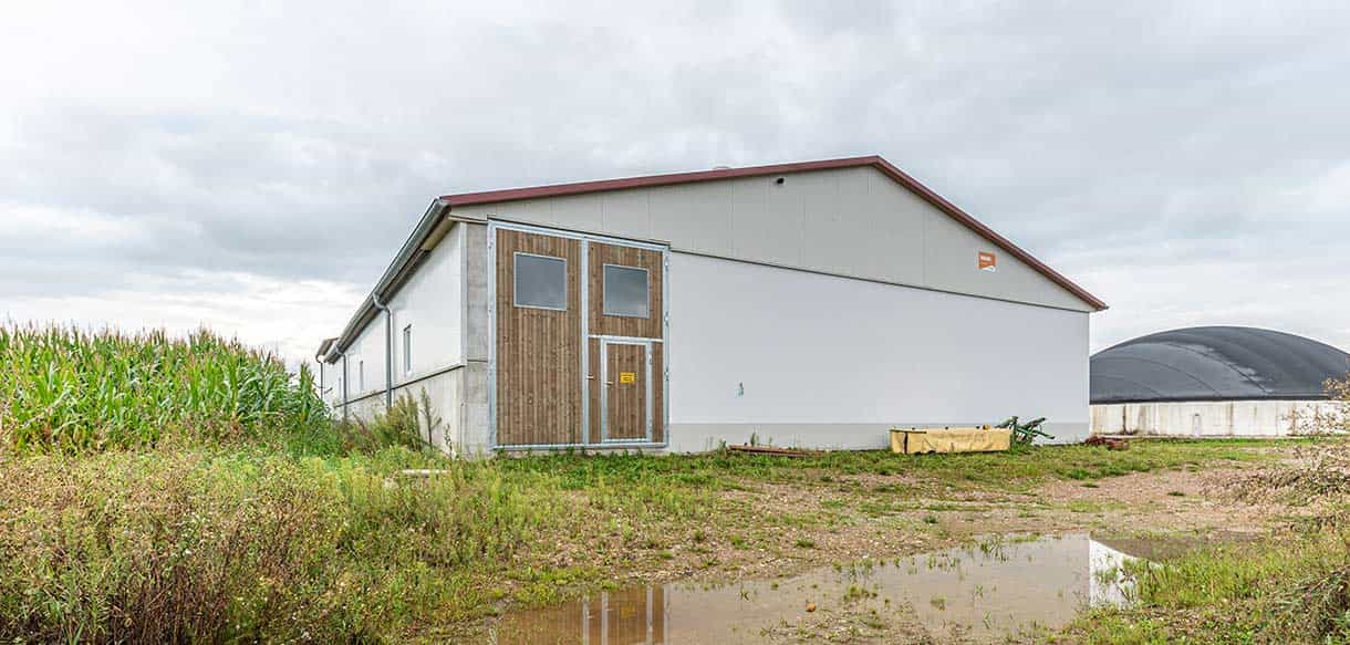 Kälber- und Jungviehstall von Haas Landwirtschaftsbau