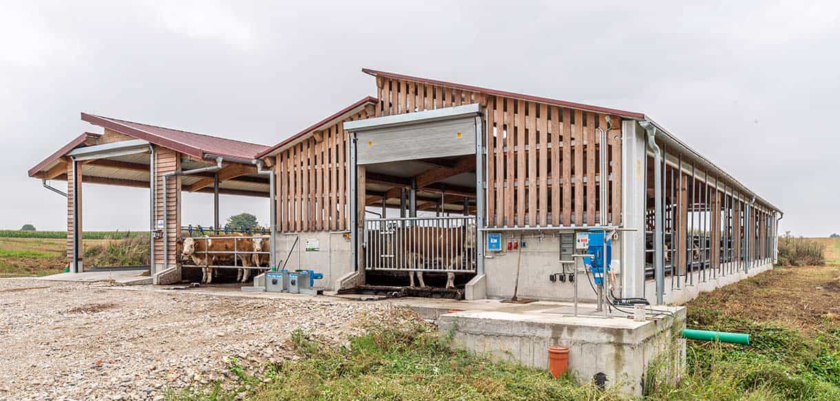 Kälber- und Jungviehstall von Haas Landwirtschaftsbau