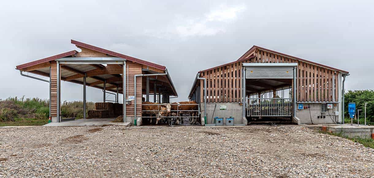 Kälber- und Jungviehstall von Haas Landwirtschaftsbau