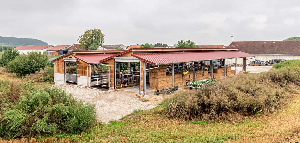 Kälber- und Jungviehstall von Haas Landwirtschaftsbau