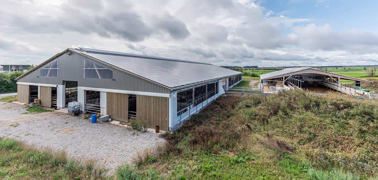 Milchviehlaufstall von Haas Landwirtschaftsbau