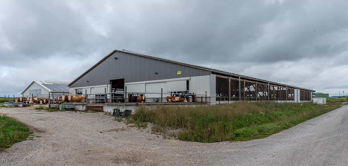 Milchviehlaufstall von Haas Landwirtschaftsbau