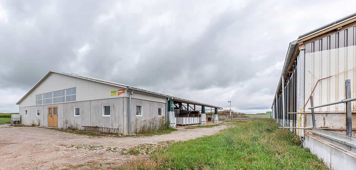 Milchviehlaufstall von Haas Landwirtschaftsbau