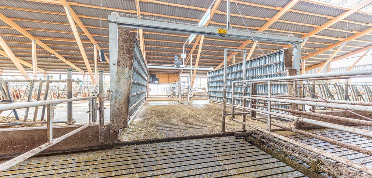 Milchviehlaufstall von Haas Landwirtschaftsbau