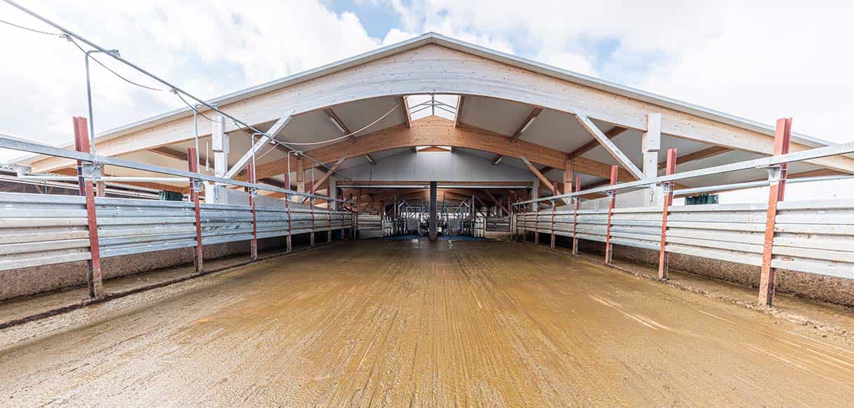 Milchviehlaufstall von Haas Landwirtschaftsbau