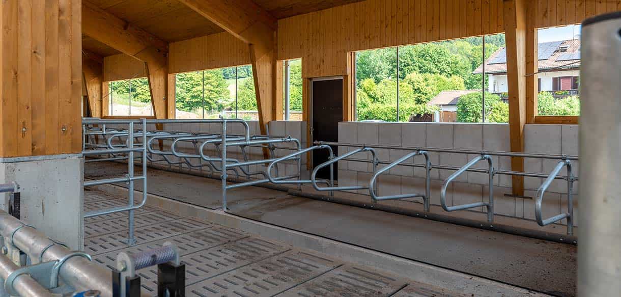 Milchviehstall von Haas Landwirtschaftsbau
