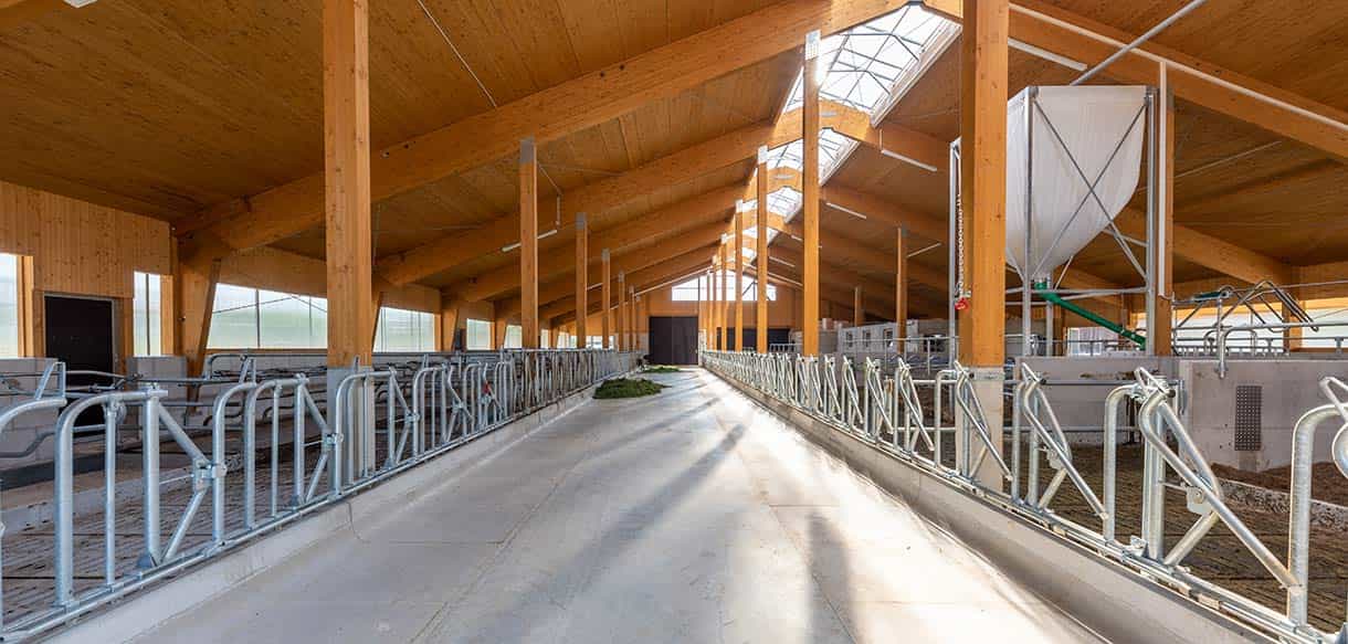 Milchviehstall von Haas Landwirtschaftsbau
