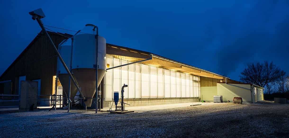 Milchviehstall von Haas Landwirtschaftsbau