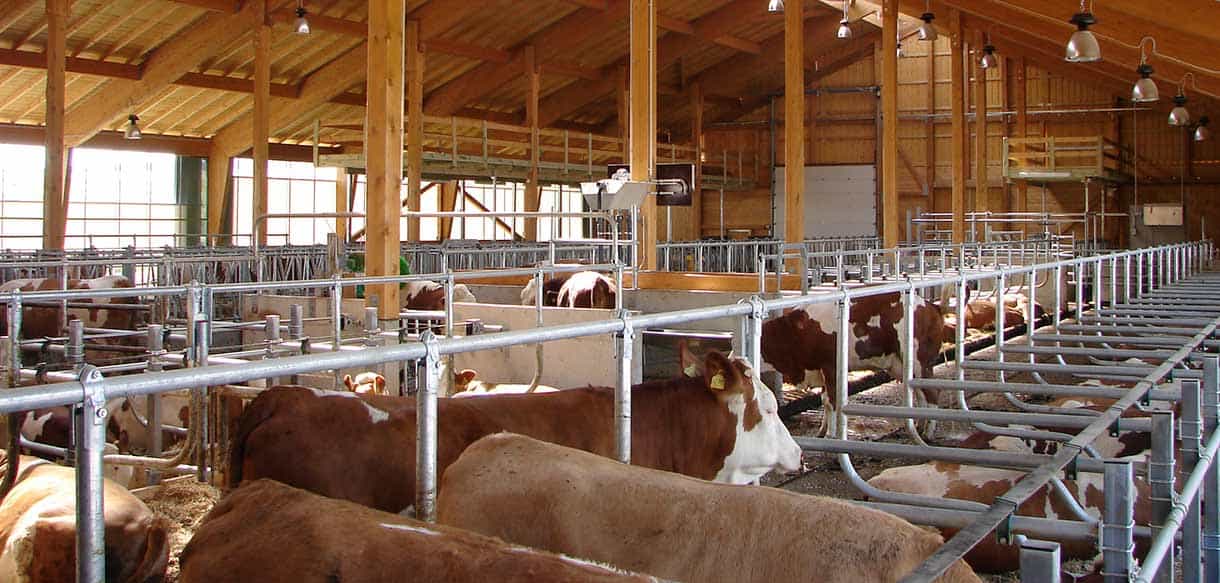 Melkhaus und Milchviehstall von Haas Landwirtschaftsbau