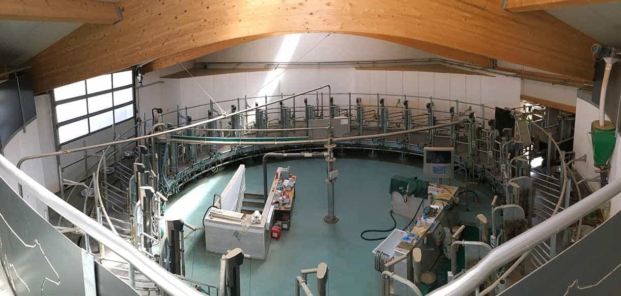 Abkalbstall mit Firstlüftung von Haas Landwirtschaftsbau