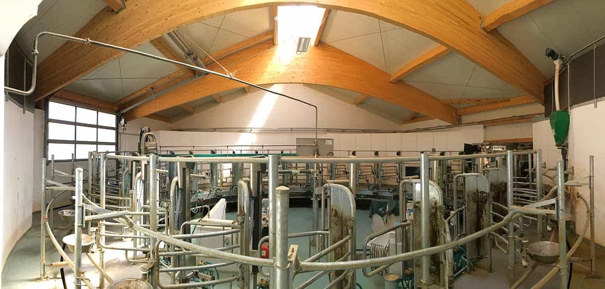 Abkalbstall mit Firstlüftung von Haas Landwirtschaftsbau