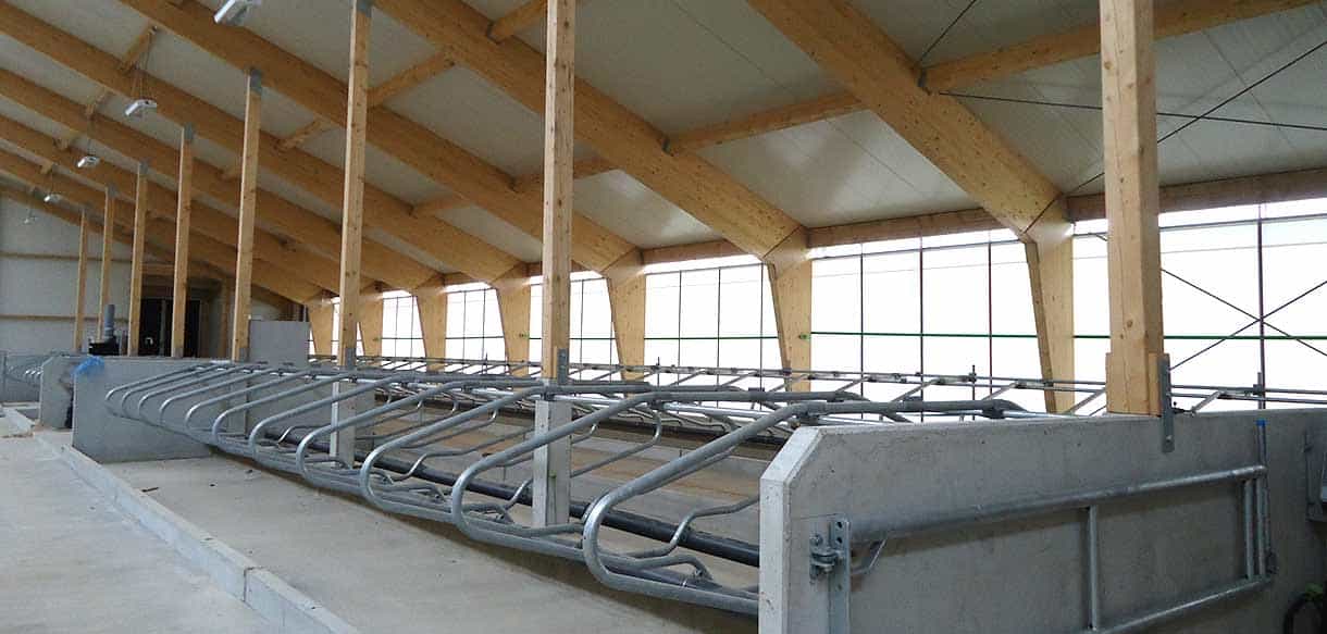 Abkalbstall mit Firstlüftung von Haas Landwirtschaftsbau
