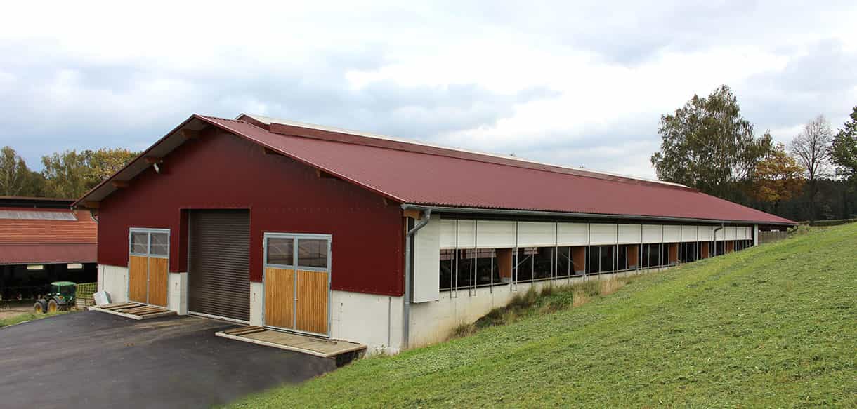 Milchviehstall mit Firstlüftung von Haas Landwirtschaftsbau