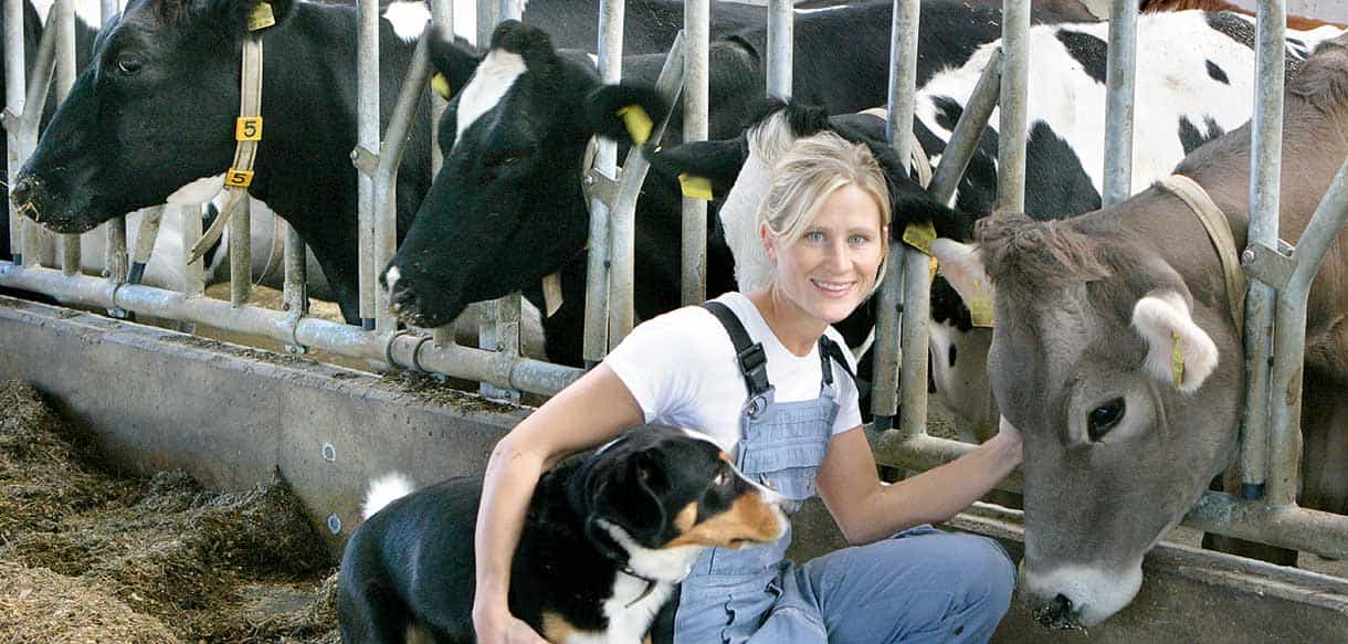 Milchviehstall von Haas Landwirtschaftsbau