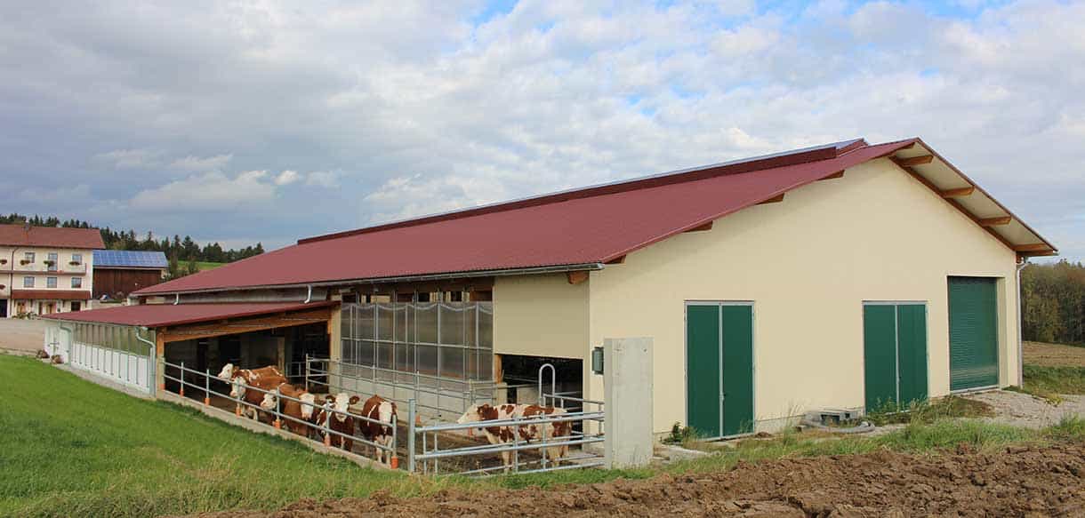 Milchviehstall von Haas Landwirtschaftsbau