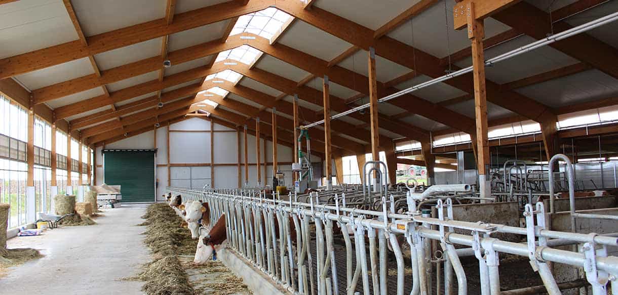 Milchviehstall von Haas Landwirtschaftsbau