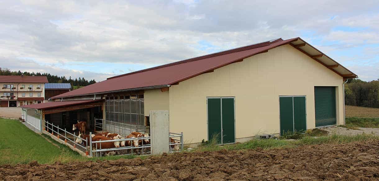 Milchviehstall von Haas Landwirtschaftsbau