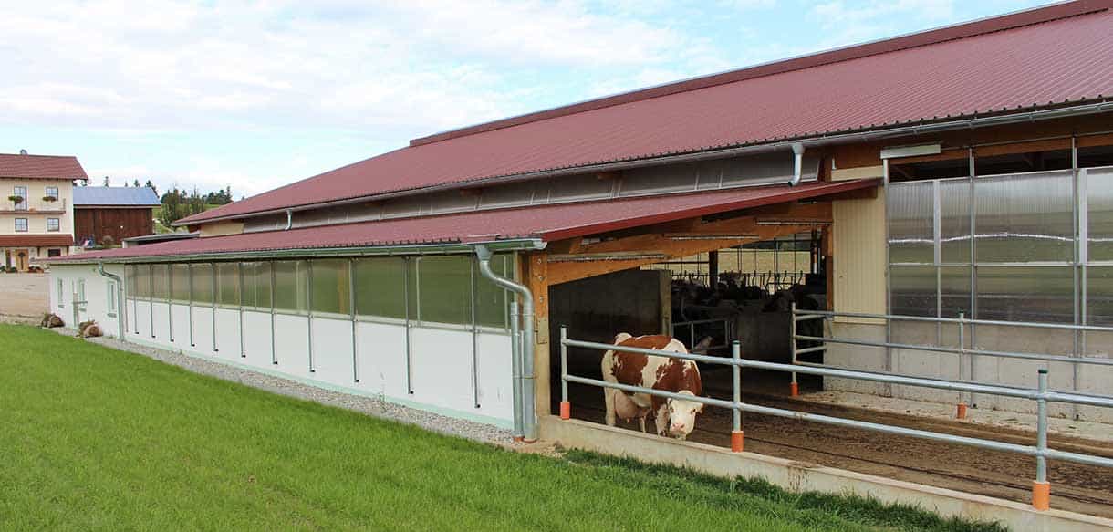 Milchviehstall von Haas Landwirtschaftsbau