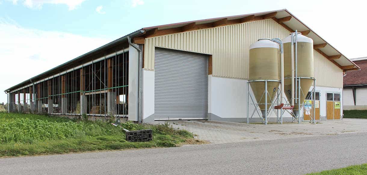 Milchviehstall mit Firstbelichtung von Haas Landwirtschaftsbau