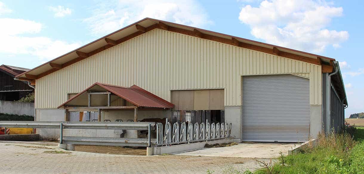 Milchviehstall mit Firstbelichtung von Haas Landwirtschaftsbau