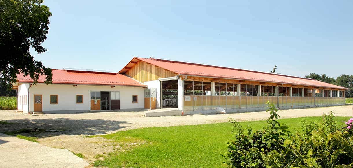 Milchviehstall von Haas Landwirtschaftsbau