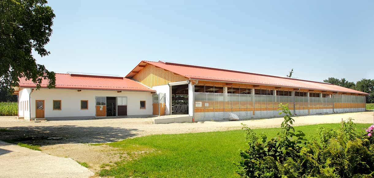Milchviehstall von Haas Landwirtschaftsbau