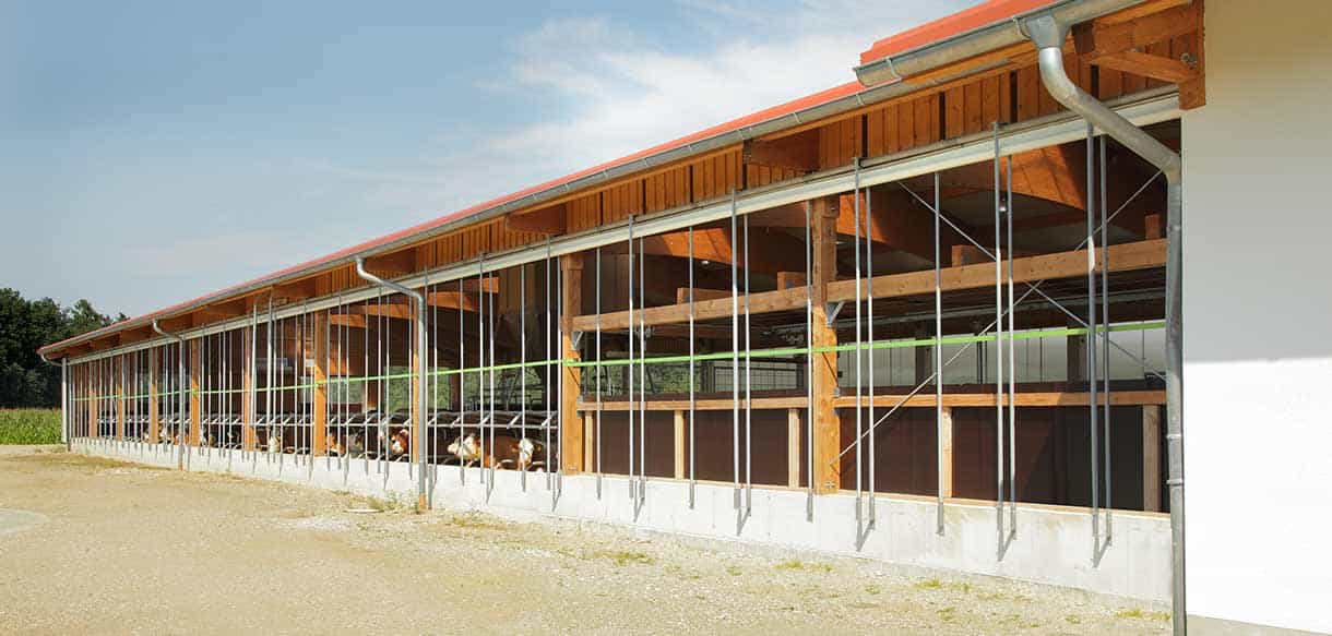 Milchviehstall von Haas Landwirtschaftsbau
