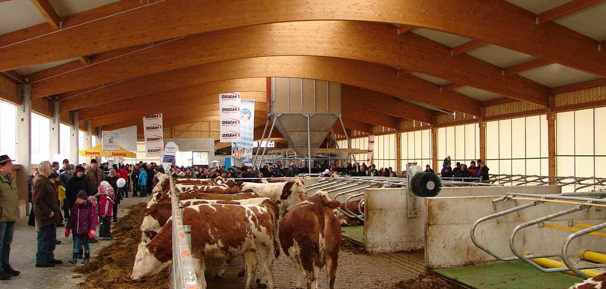 Milchviehstall von Haas Landwirtschaftsbau