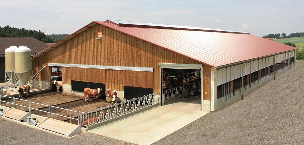 Milchviehstall mit Firstlüftung von Haas Landwirtschaftsbau