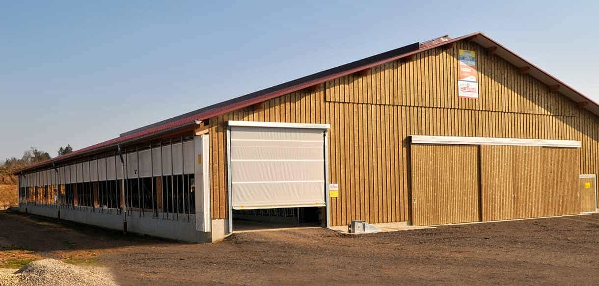Milchviehstall mit Firstlüftung von Haas Landwirtschaftsbau