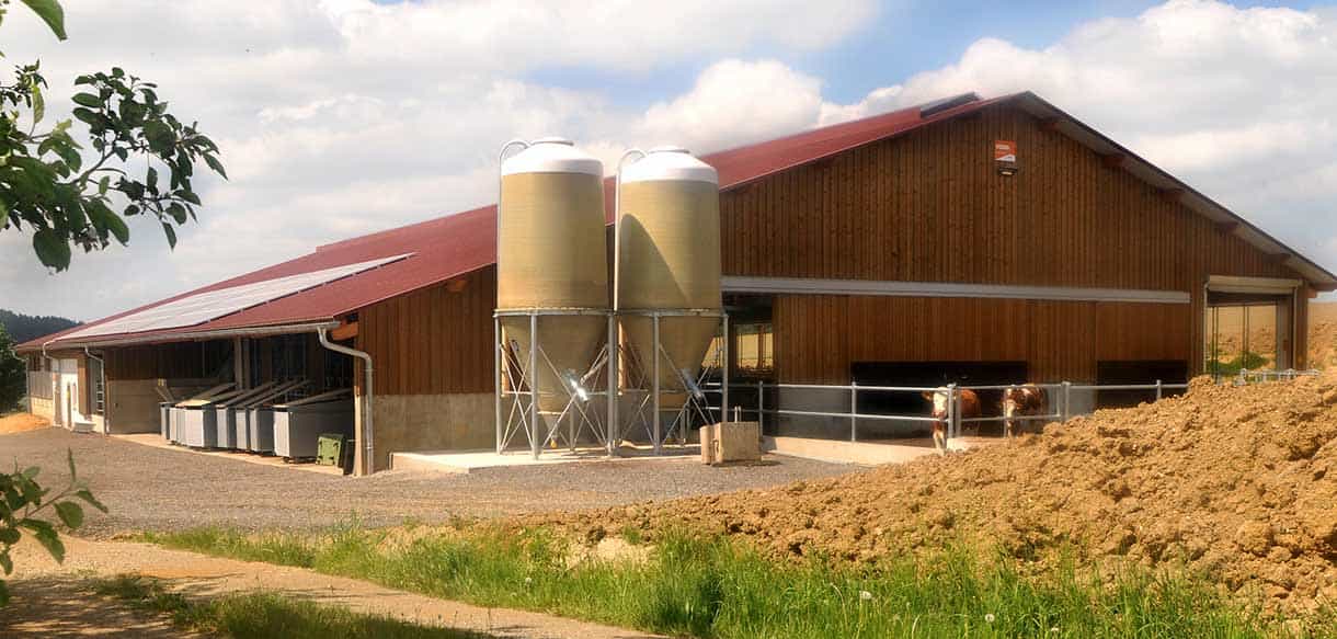 Milchviehstall mit Firstlüftung von Haas Landwirtschaftsbau