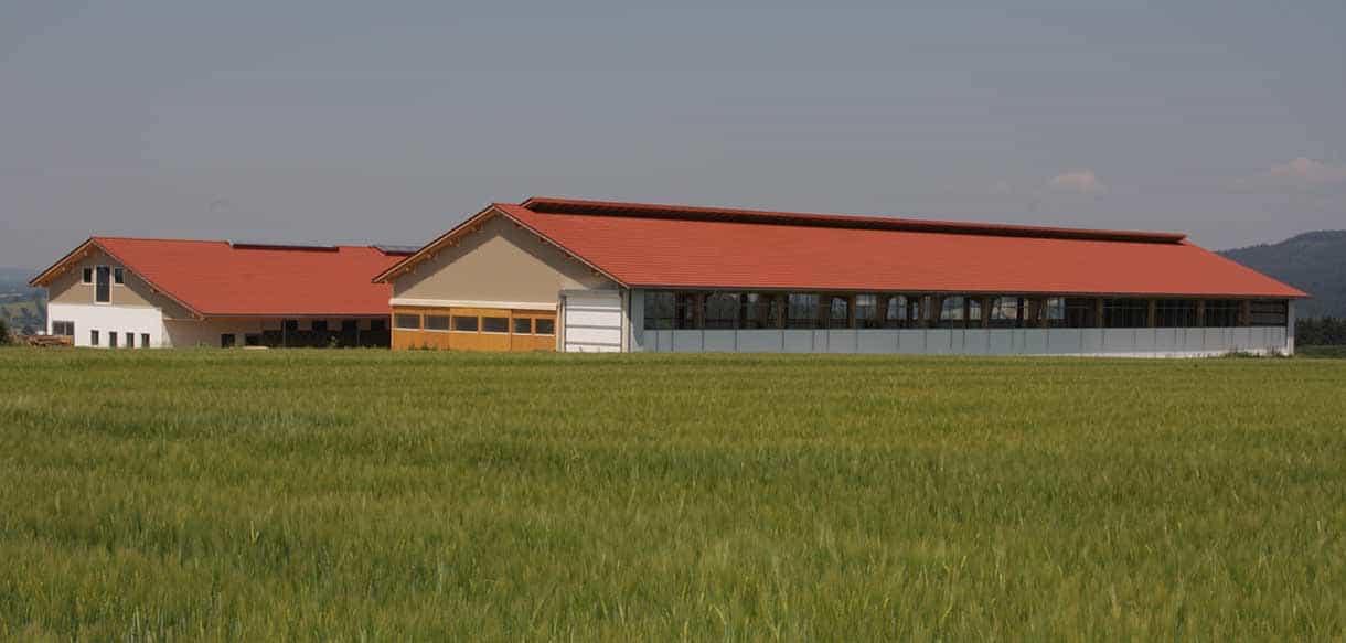 Milchviehstall und Melkhaus von Haas Landwirtschaftsbau