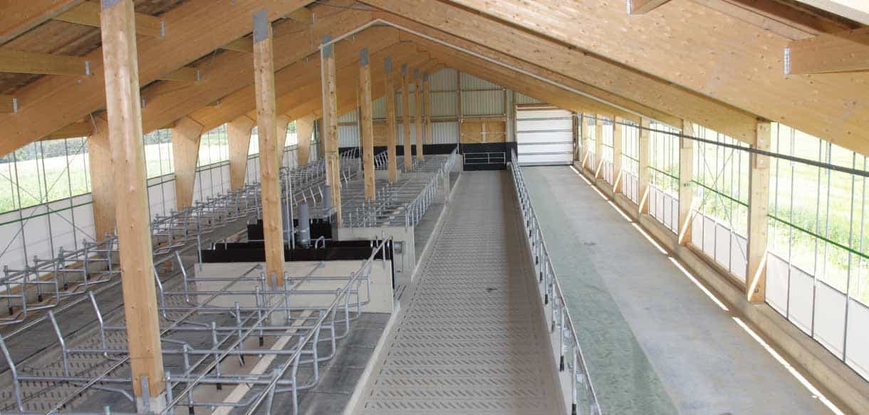 Milchviehstall und Melkhaus von Haas Landwirtschaftsbau