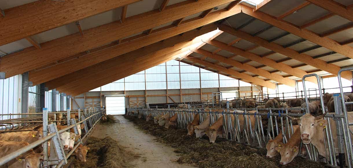 Mutterkuhstall von Haas Landwirtschaftsbau