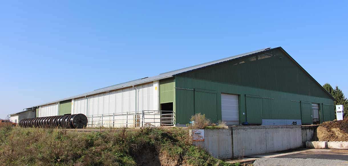 Mutterkuhstall von Haas Landwirtschaftsbau