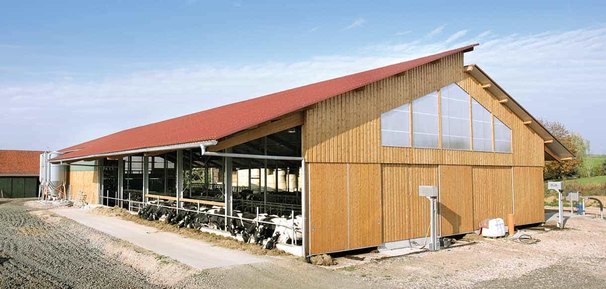 Liegeboxenstall von Haas Landwirtschaftsbau