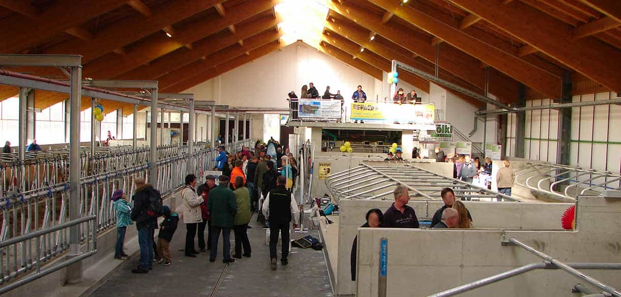 Milchviehstall mit Firstlüftung von Haas Landwirtschaftsbau