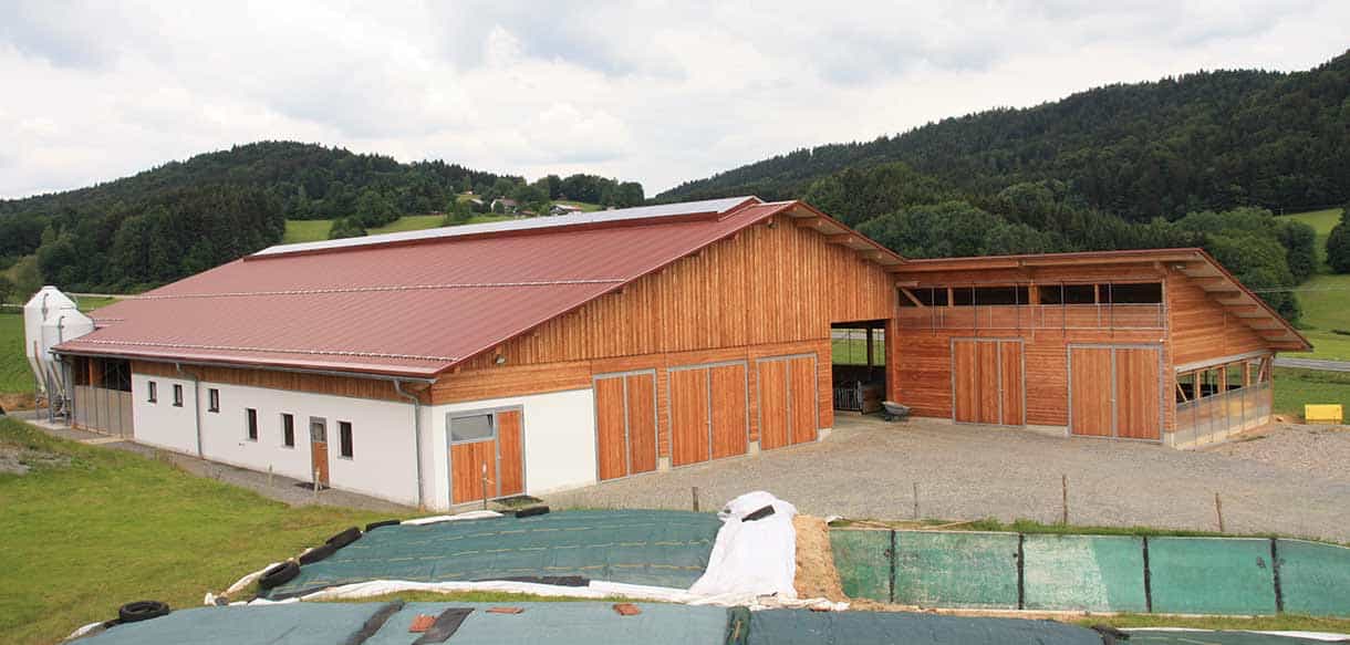 Milchviehstall und Jungviehstall mit absenkbaren Lichtbändern von Haas Landwirtschaftsbau