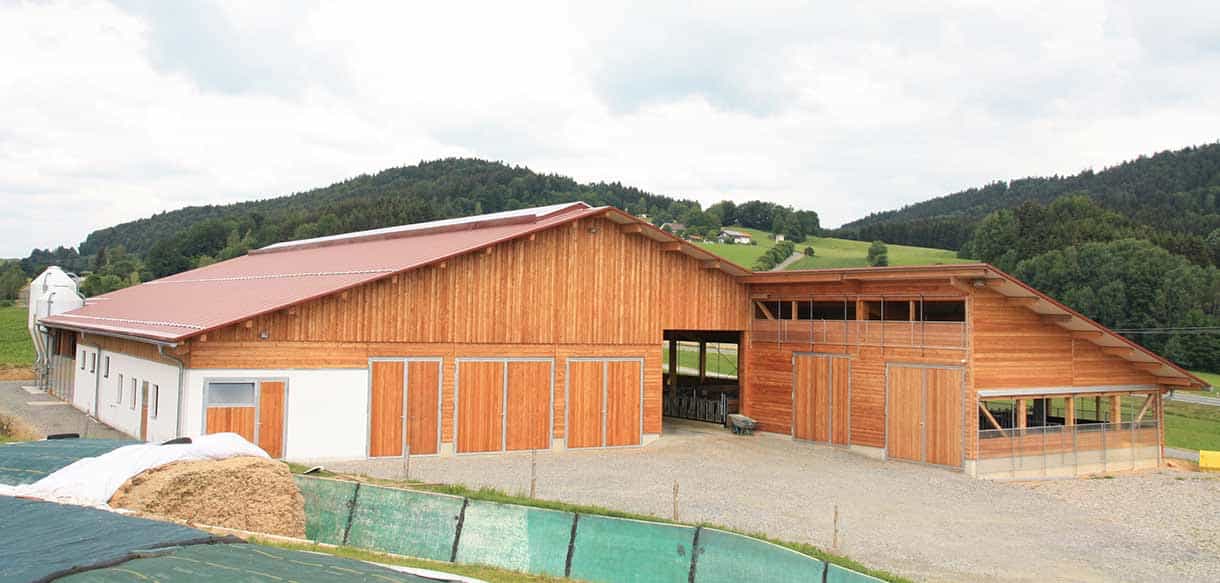 Milchviehstall und Jungviehstall mit absenkbaren Lichtbändern von Haas Landwirtschaftsbau
