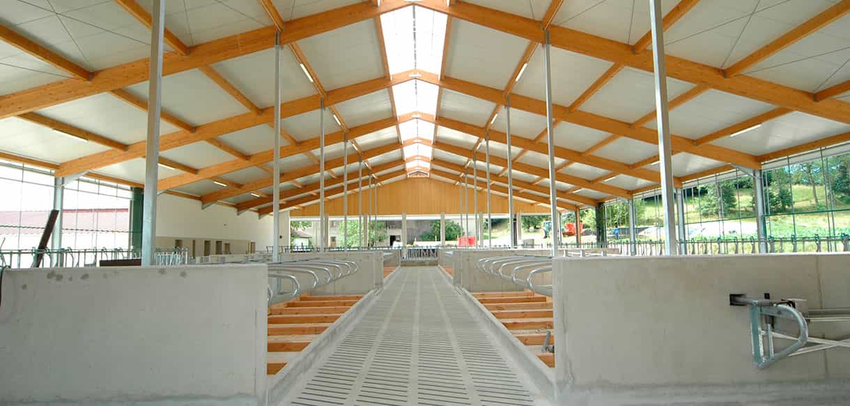 Milchviehstall von Haas Landwirtschaftsbau