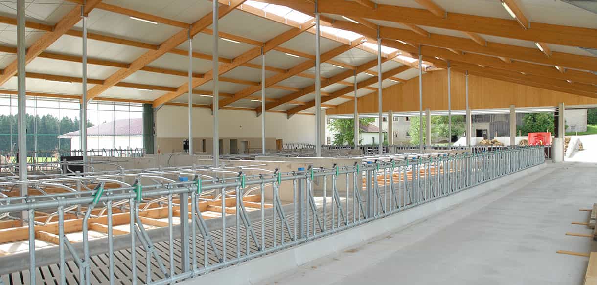 Milchviehstall von Haas Landwirtschaftsbau