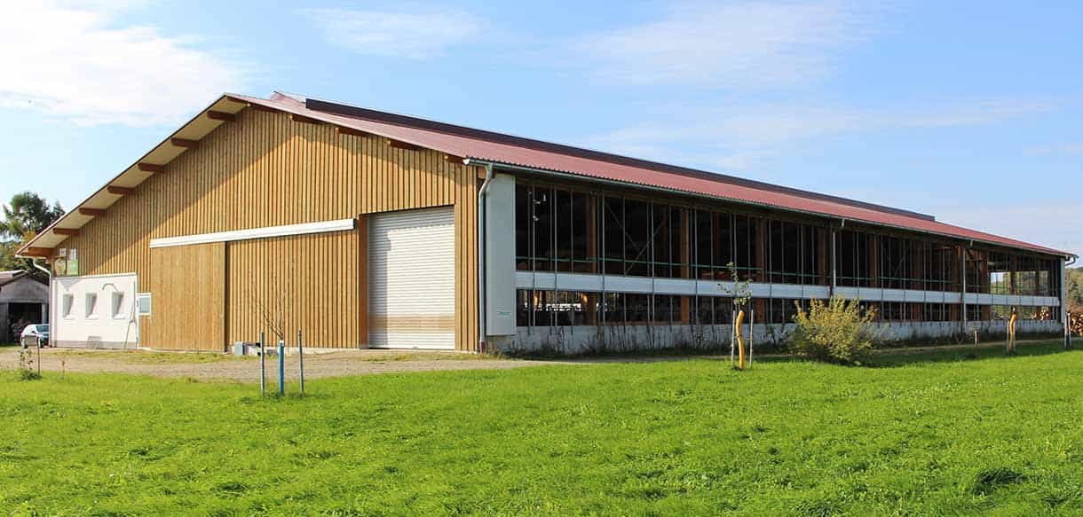 Milchviehstall mit Firstlüftung von Haas Landwirtschaftsbau