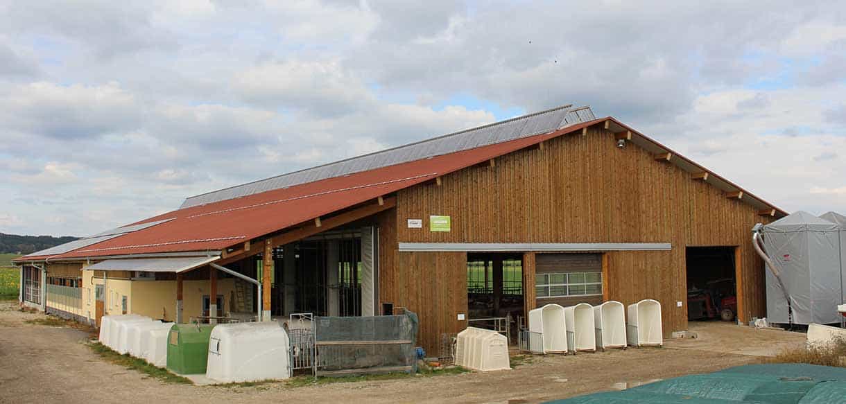 Milchviehstall mit Firstlüftung von Haas Landwirtschaftsbau