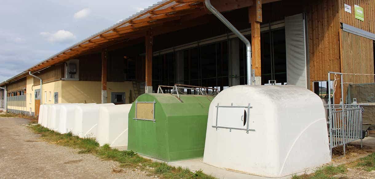 Milchviehstall mit Firstlüftung von Haas Landwirtschaftsbau