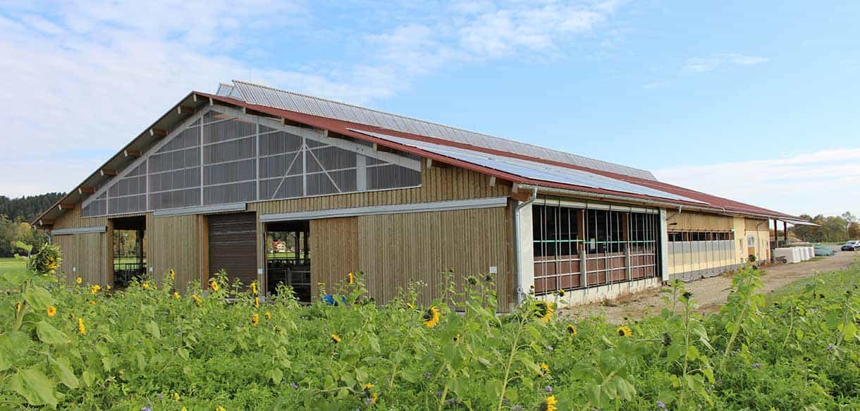 Milchviehstall mit Firstlüftung von Haas Landwirtschaftsbau
