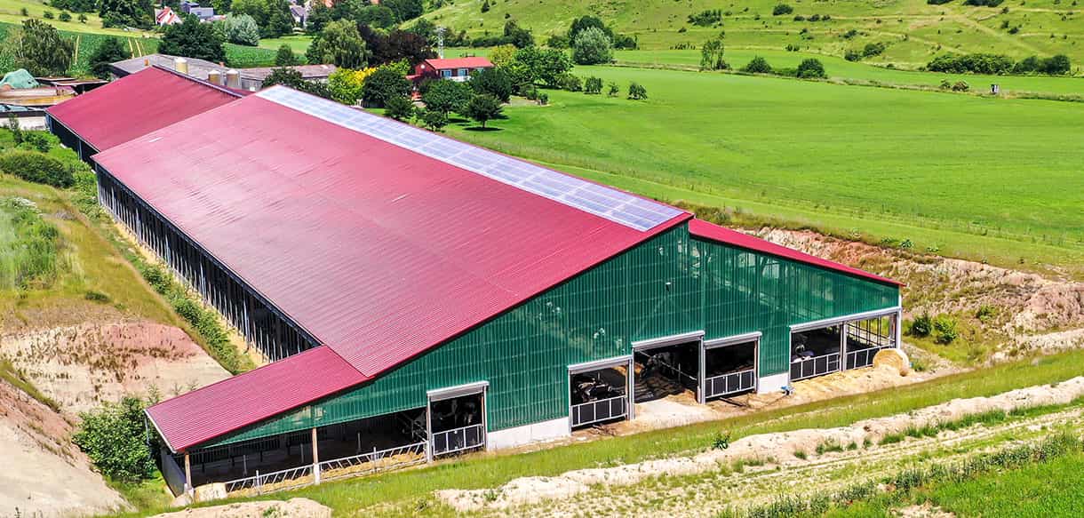Milchviehstall von Haas Landwirtschaftsbau