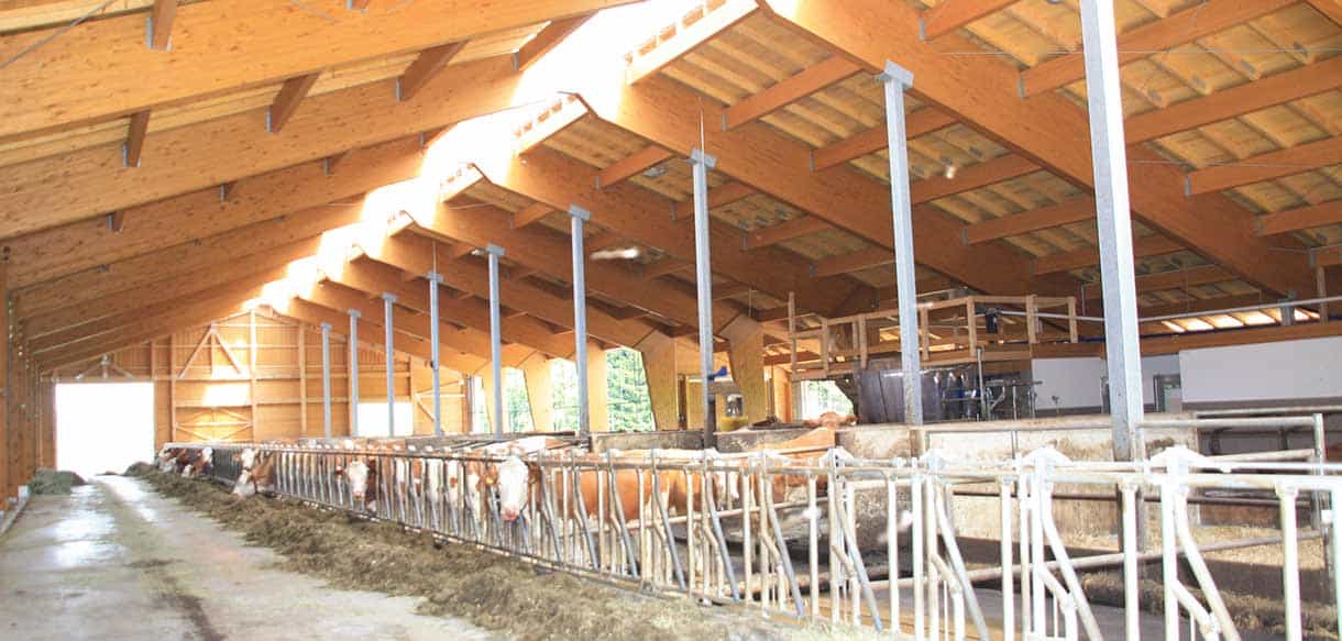 Milchviehstall in Wegscheid von Haas Landwirtschaftsbau