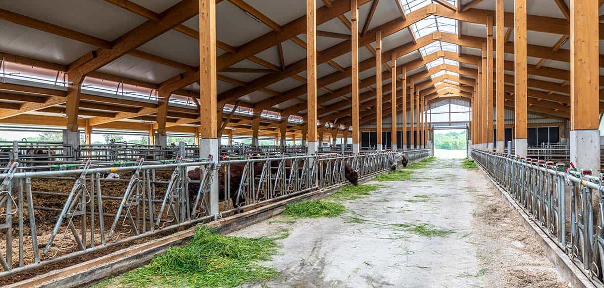 Mutterkuhstall von Haas Landwirtschaftsbau