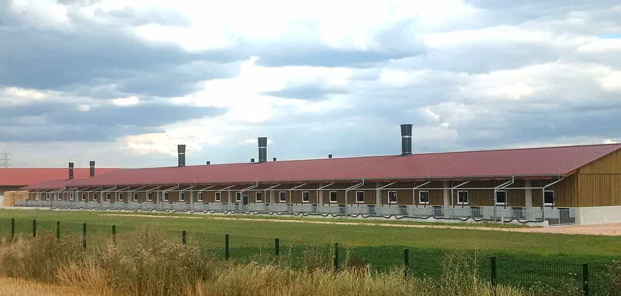 Abferkelstall