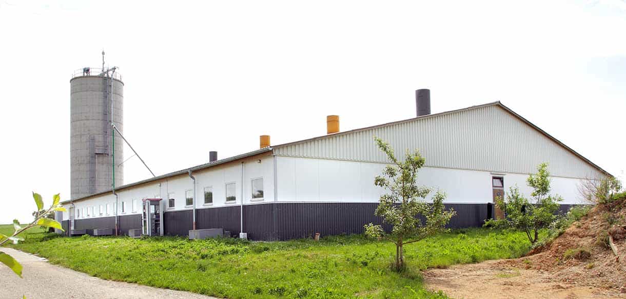 Schweinemaststall von Haas Landwirtschaftsbau